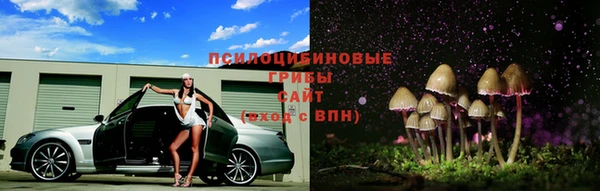 spice Алексеевка