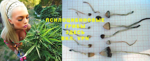 дживик Абдулино