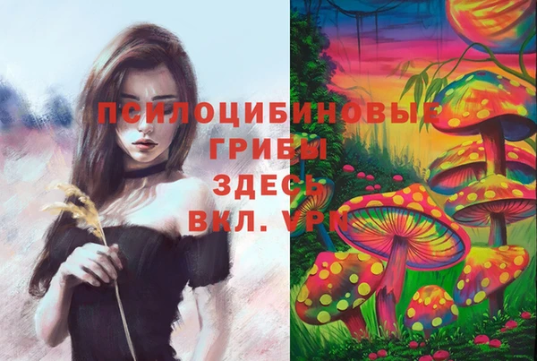 тгк Семикаракорск