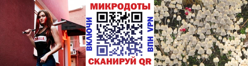 где продают наркотики  Инсар  Псилоцибиновые грибы Magic Shrooms 